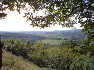 Blick vom Drachenstein